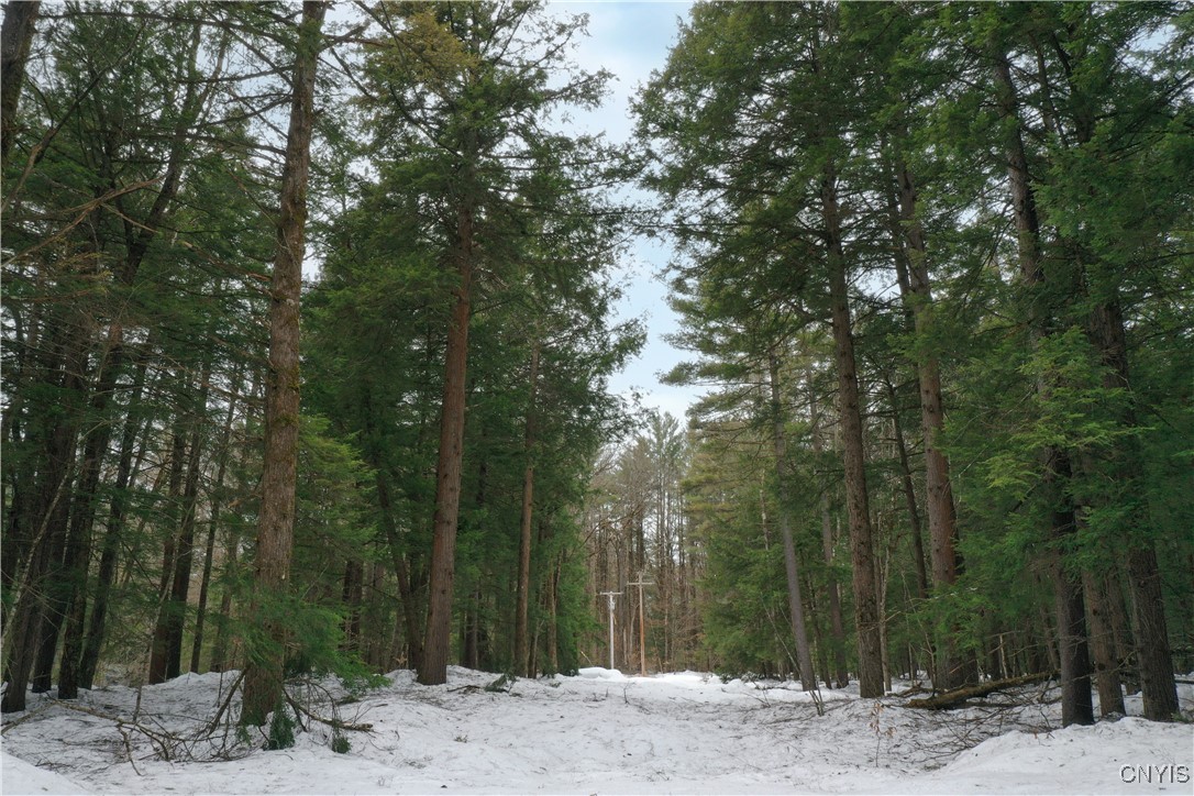 Elpis Road, Camden, New York image 7