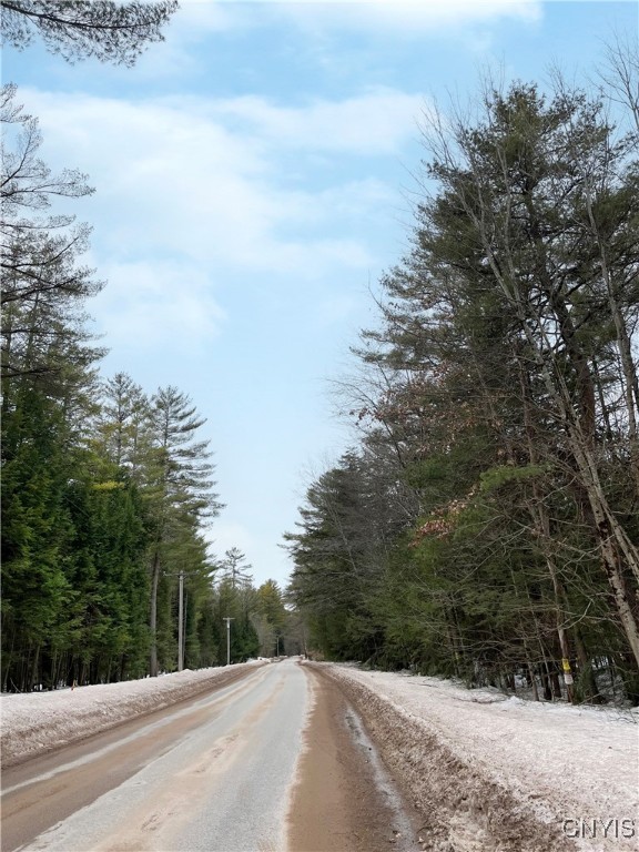 Elpis Road, Camden, New York image 4