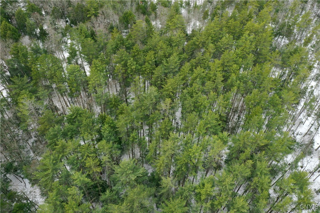 Elpis Road, Camden, New York image 5