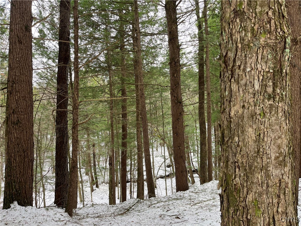 Elpis Road, Camden, New York image 2