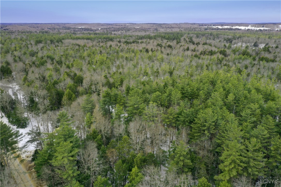 Elpis Road, Camden, New York image 3
