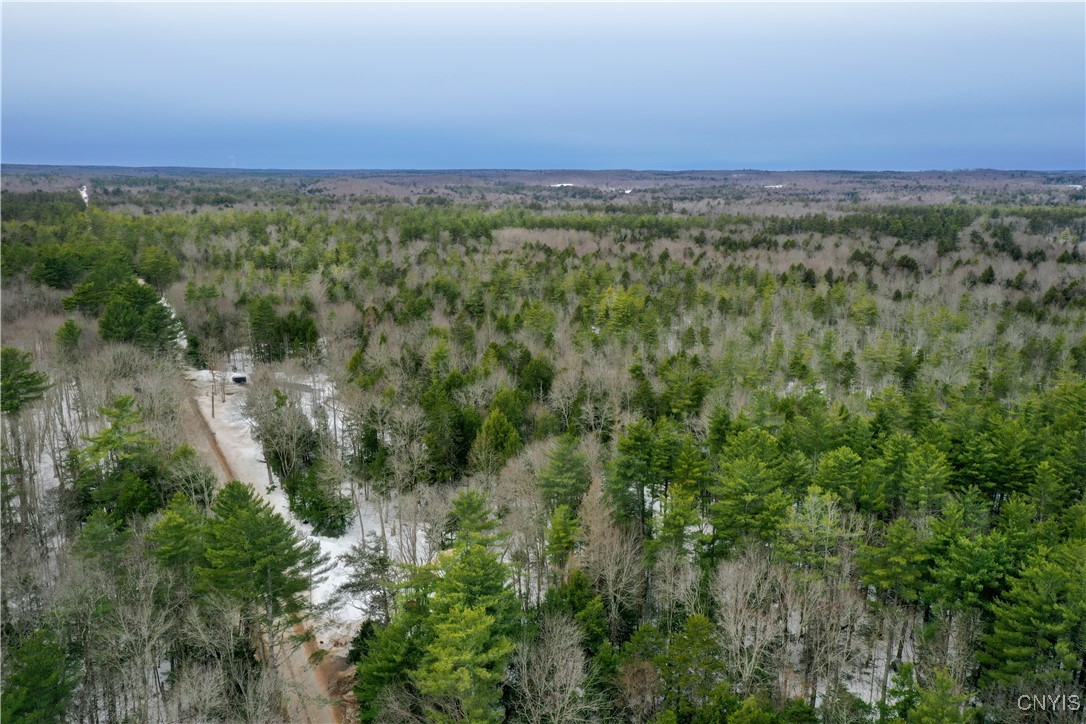 Elpis Road, Camden, New York image 8