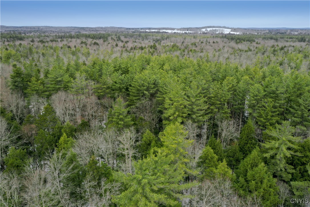 Elpis Road, Camden, New York image 1