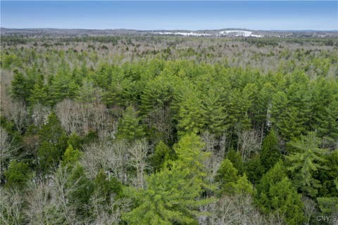 Vacant Land For Sale - Elpis Road<br/> Camden, NY 13316