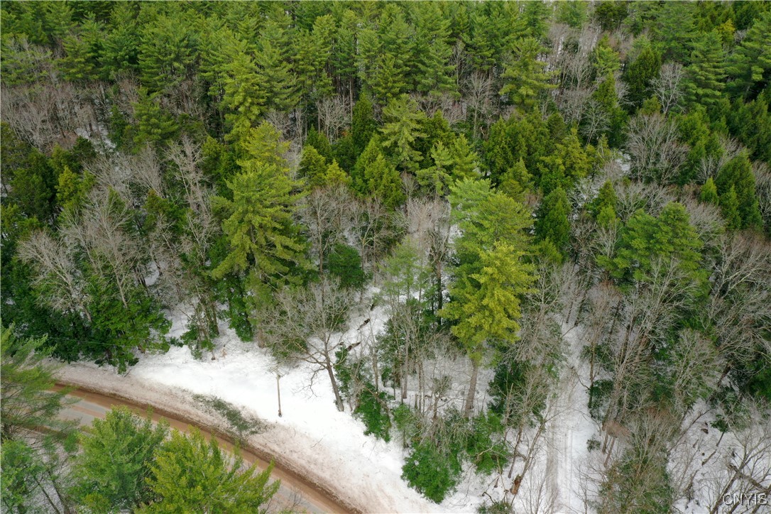 Elpis Road, Camden, New York image 6
