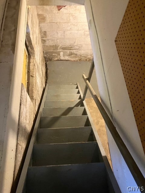 3 Dodd Street