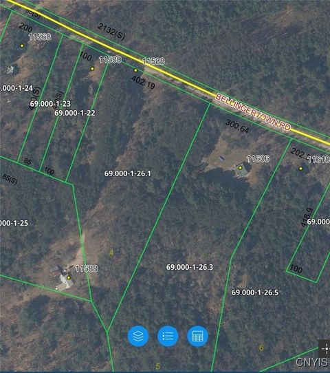 Vacant Land For Sale - Bellingertown Road<br/> Forestport, NY 13338