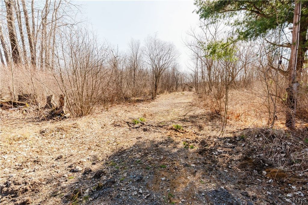Photo of US Route 11, Le Ray, NY 13616 (MLS # S1670710)