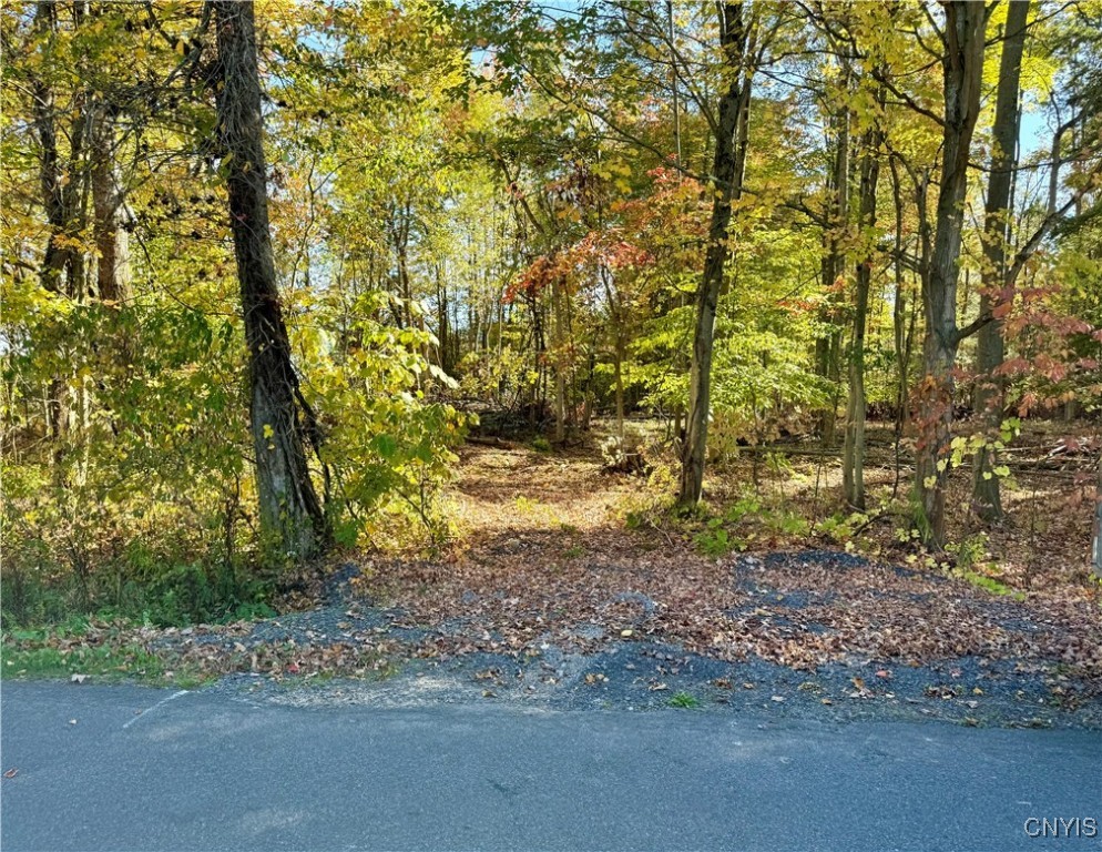 County Line Road