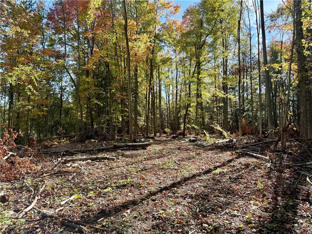 County Line Road