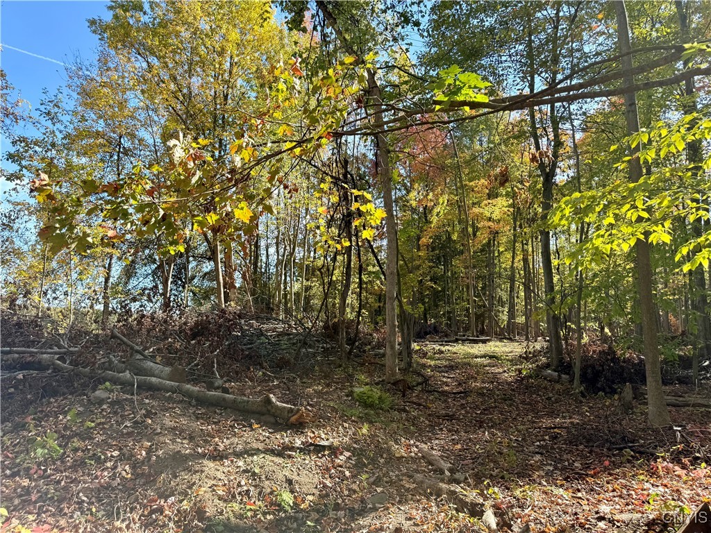 County Line Road