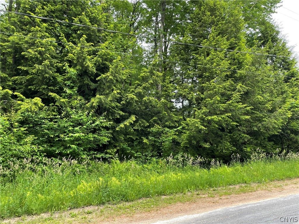 Photo of 00 N Hillsborough Road, Amboy, NY 13316 (MLS # S1678300)