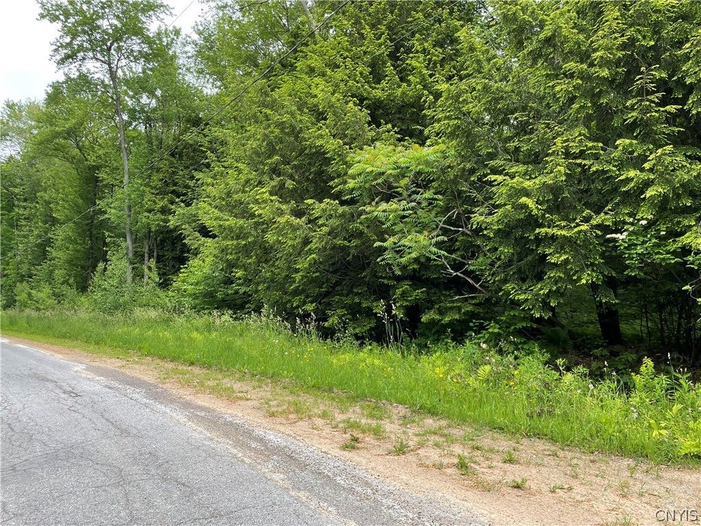 Photo of 00 N Hillsborough Road, Amboy, NY 13316 (MLS # S1678300)