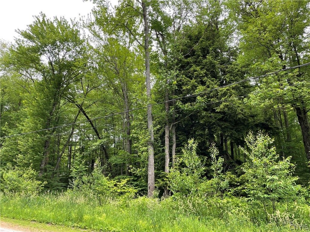 Photo of 00 N Hillsborough Road, Amboy, NY 13316 (MLS # S1678300)