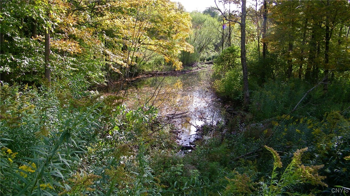 River Road, Camden, New York image 15