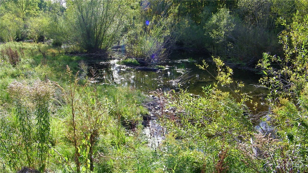 River Road, Camden, New York image 16