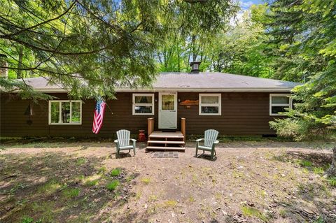 142 Lakeview Drive Eagle Bay NY 13331