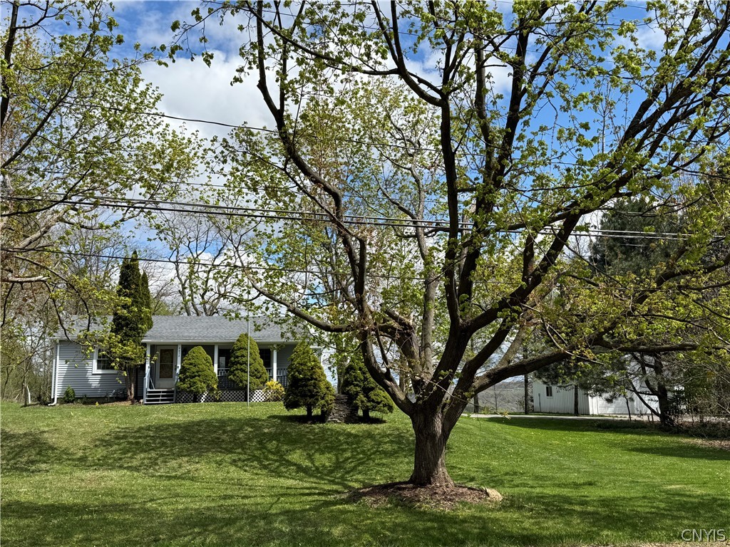4454 Limeledge Road