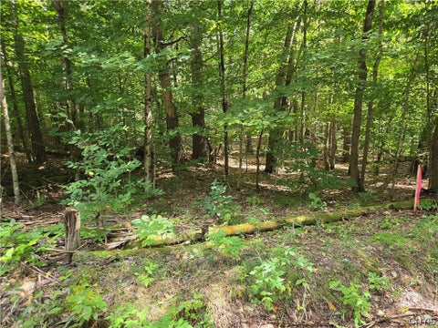 Photo for Lot #1 George Hill Road