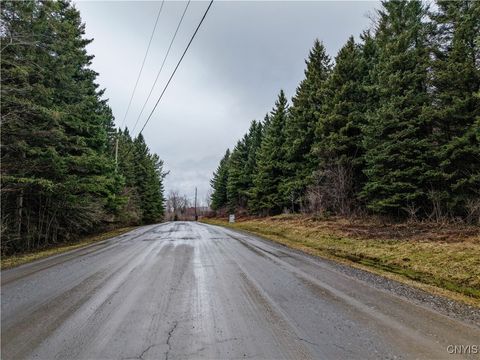 Tiny photo for Cogar Drive, Schuyler, NY 13340 (MLS # S1656325)