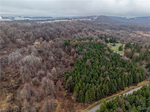 Tiny photo for Cogar Drive, Schuyler, NY 13340 (MLS # S1656325)