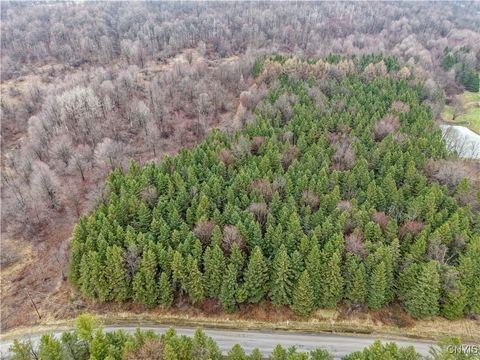 Tiny photo for Cogar Drive, Schuyler, NY 13340 (MLS # S1656325)