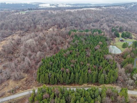 Tiny photo for Cogar Drive, Schuyler, NY 13340 (MLS # S1656325)