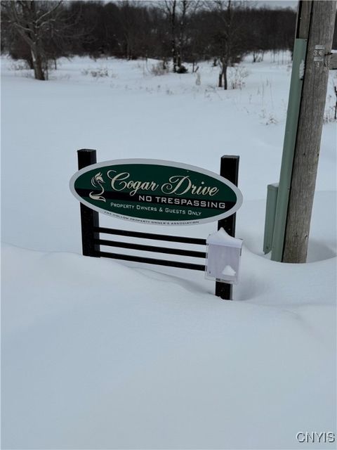 Tiny photo for Cogar Drive, Schuyler, NY 13340 (MLS # S1656325)