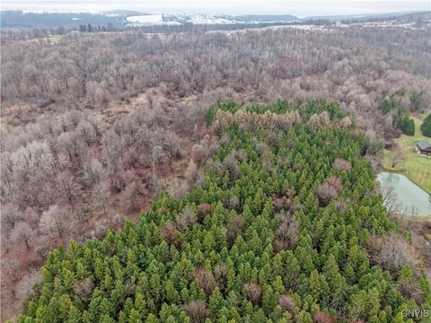 Tiny photo for Cogar Drive, Schuyler, NY 13340 (MLS # S1656325)