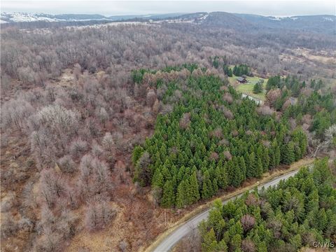 Tiny photo for Cogar Drive, Schuyler, NY 13340 (MLS # S1656325)