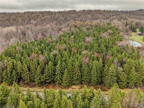 Tiny photo for Cogar Drive, Schuyler, NY 13340 (MLS # S1656325)