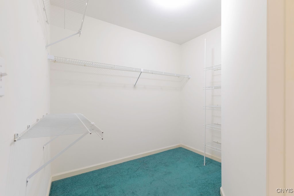 5243 Potenza Drive, Clay, New York image 23