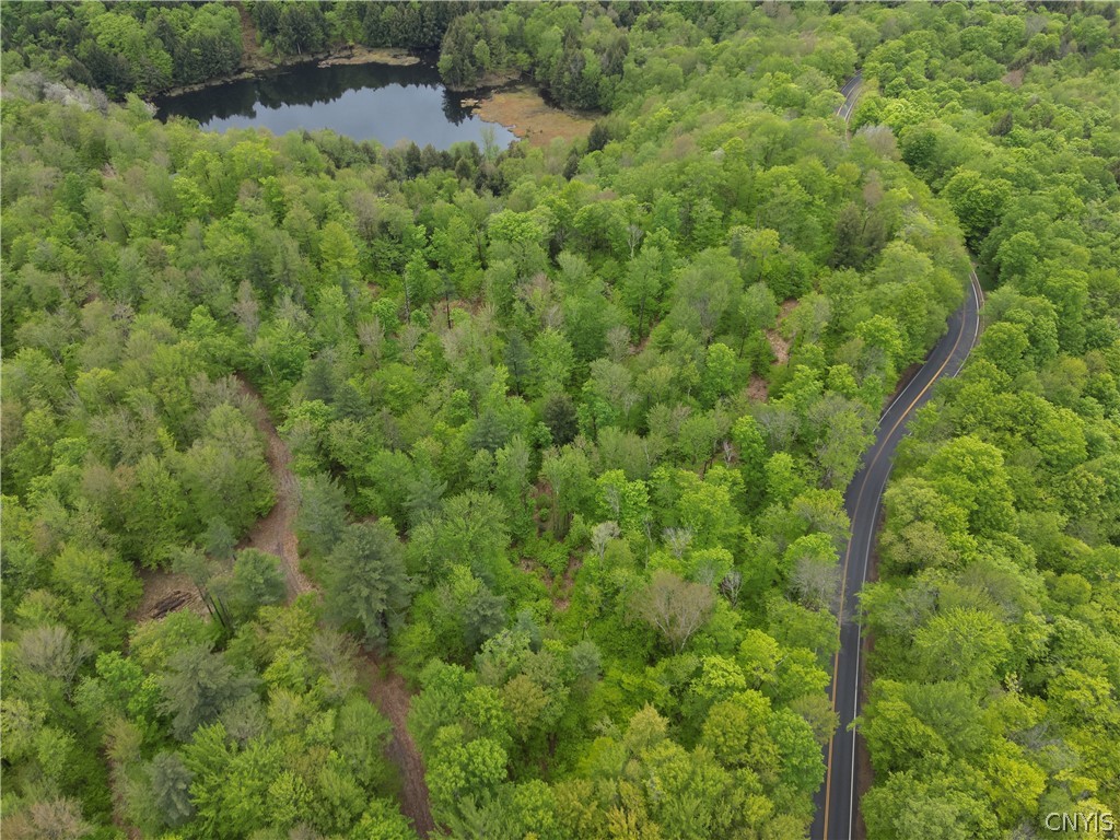 00 Hawkinsville Road