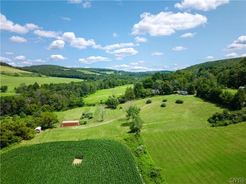 Vacant Land For Sale - 736 Bryant Road<br/> Chenango County, North Norwich, NY 13460