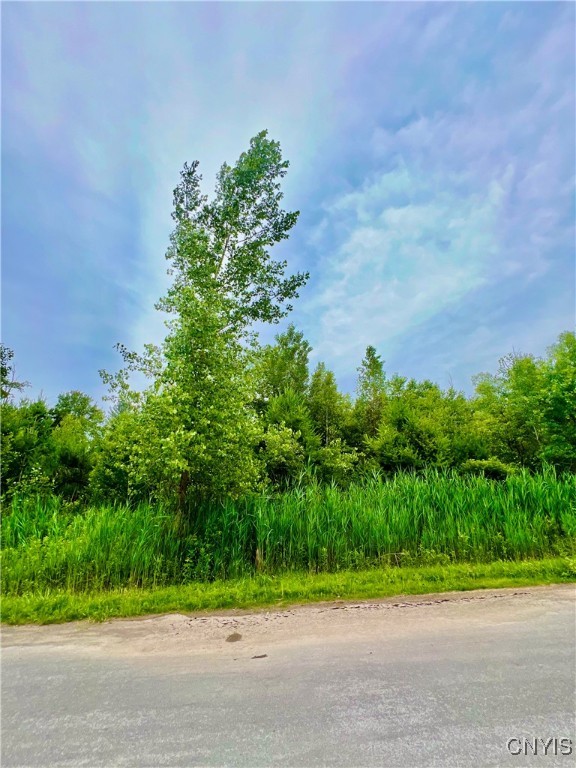 Lot 16 Forest Ridge Drive