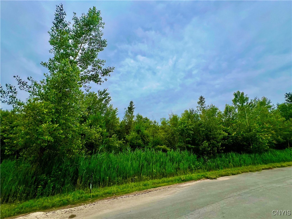 Lot 16 Forest Ridge Drive