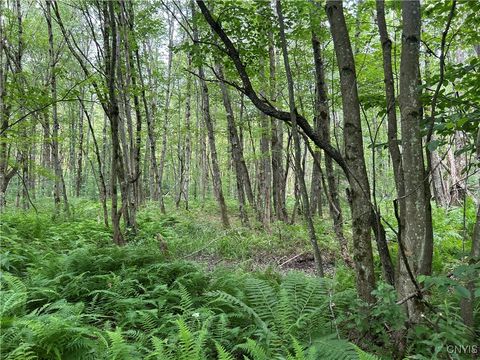 Vacant Land For Sale - 42 Kimball Camp Road<br/> Orwell, NY 13144