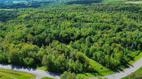 Lot 5-5 Paines Hollow Road Mohawk NY 13407