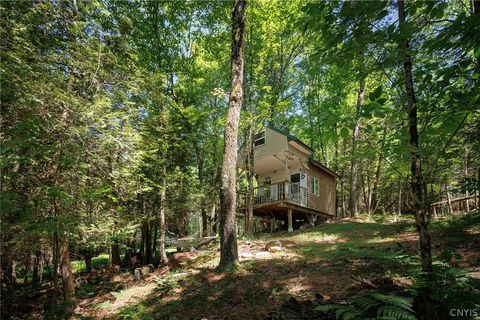 Photo of 8401 Power Line Drive, Diana, NY 13648 (MLS # S1693630)