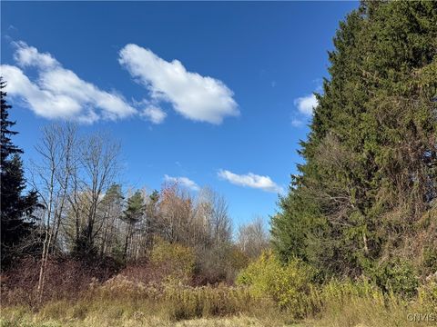 00 Clark Mills Road Whitestown NY 13492