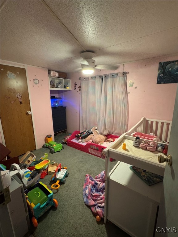 422 Donegal Drive, Schuyler, New York image 2