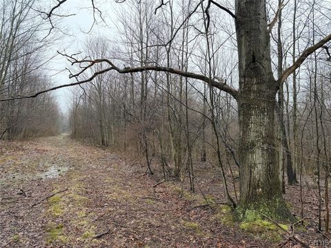 Vacant Land For Sale - Bliss Road<br/> Portland, NY 14757