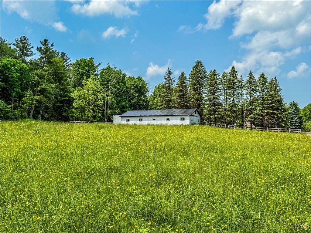 Syossett Drive, Cazenovia, New York image 5