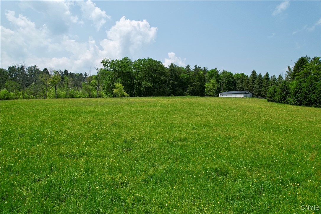 Syossett Drive, Cazenovia, New York image 20