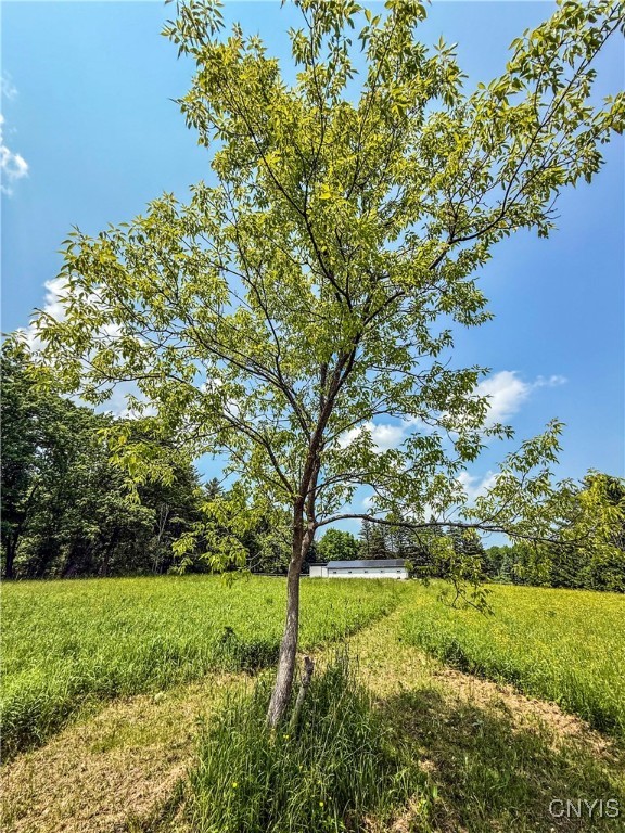 Syossett Drive, Cazenovia, New York image 26