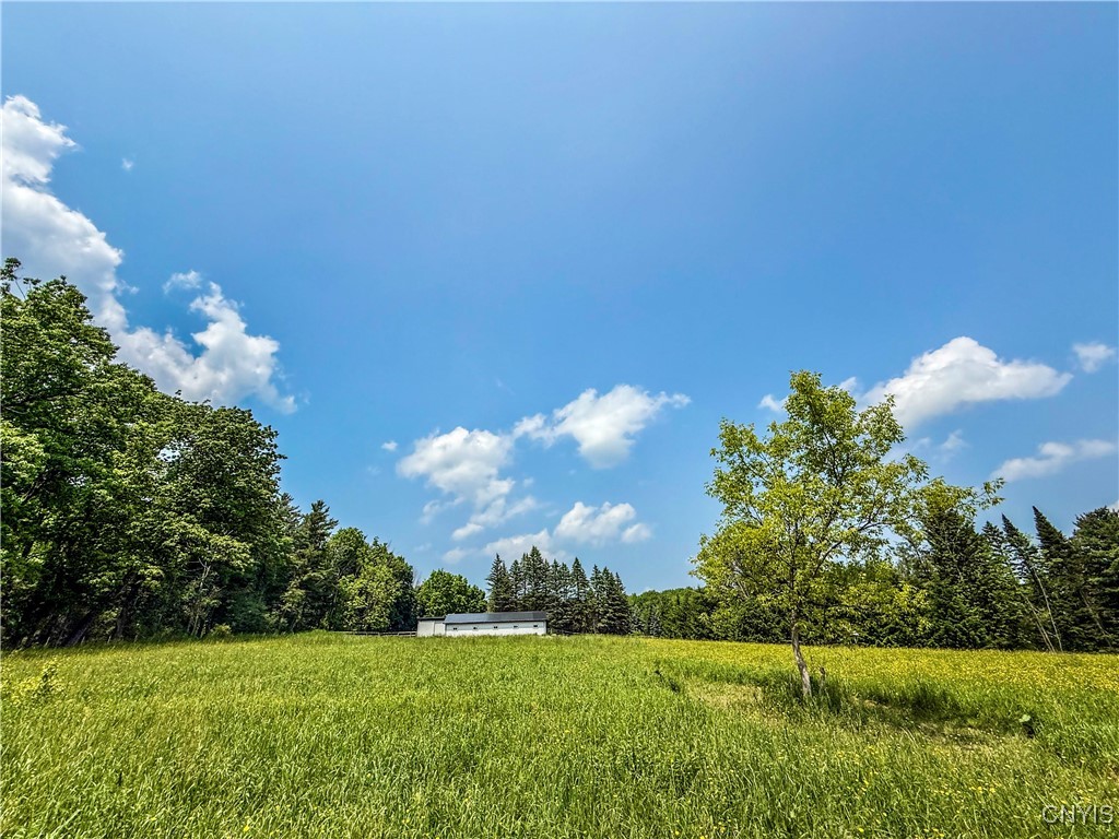 Syossett Drive, Cazenovia, New York image 23