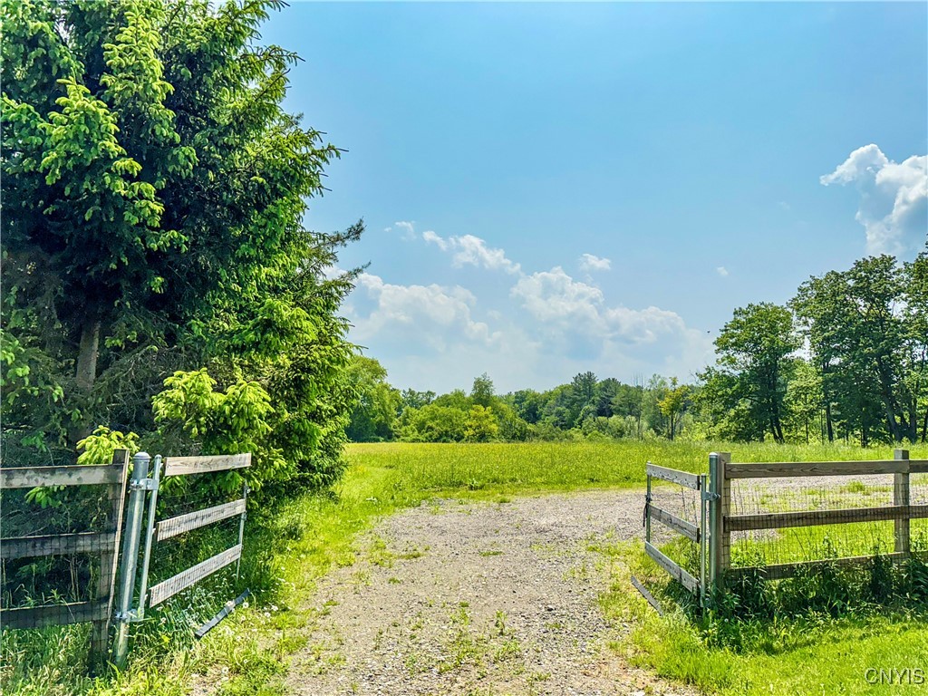 Syossett Drive, Cazenovia, New York image 15