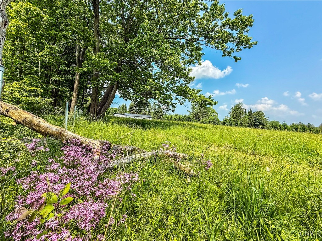 Syossett Drive, Cazenovia, New York image 25