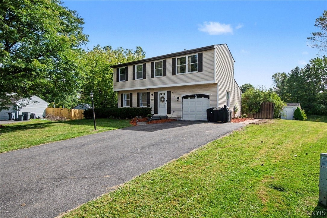 8316 Spicebush