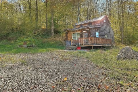 286 California Road Cold Brook NY 13324